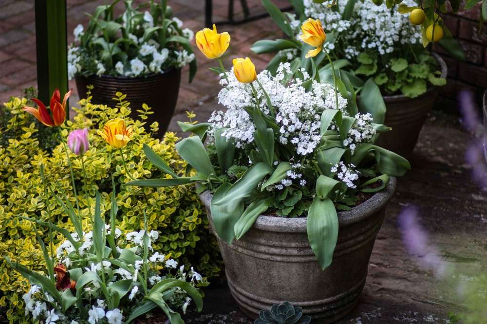 Landscape design for uneven backyard levels with steps, planting and outdoor zones